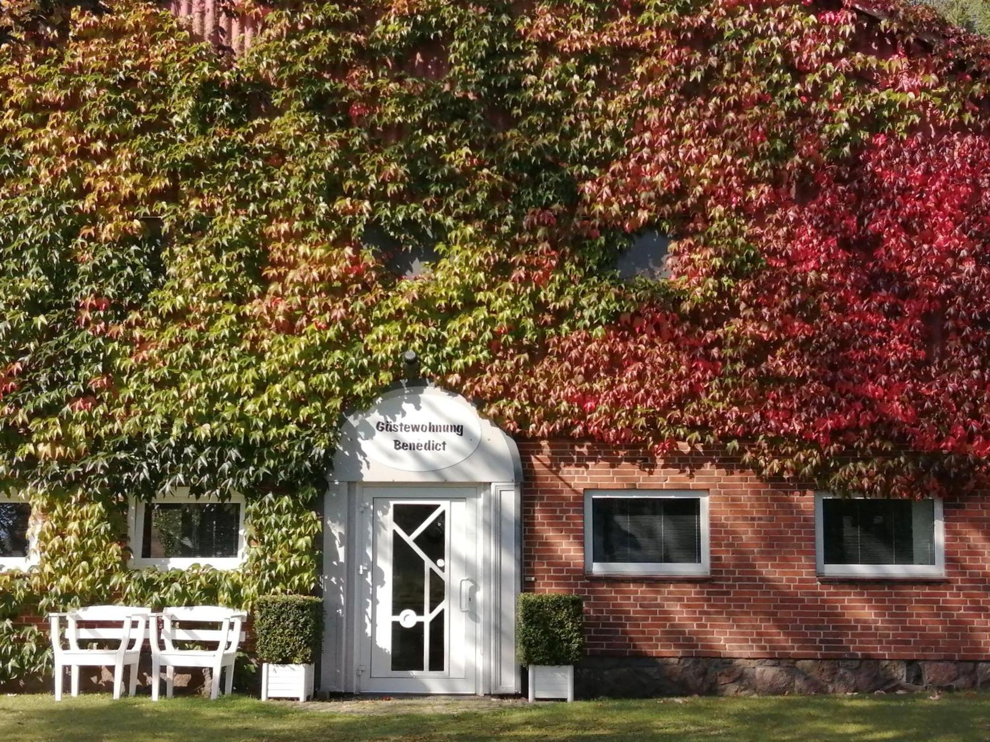 Ferienwohnung Benedict, Norbert Klein Rheide Exterior foto