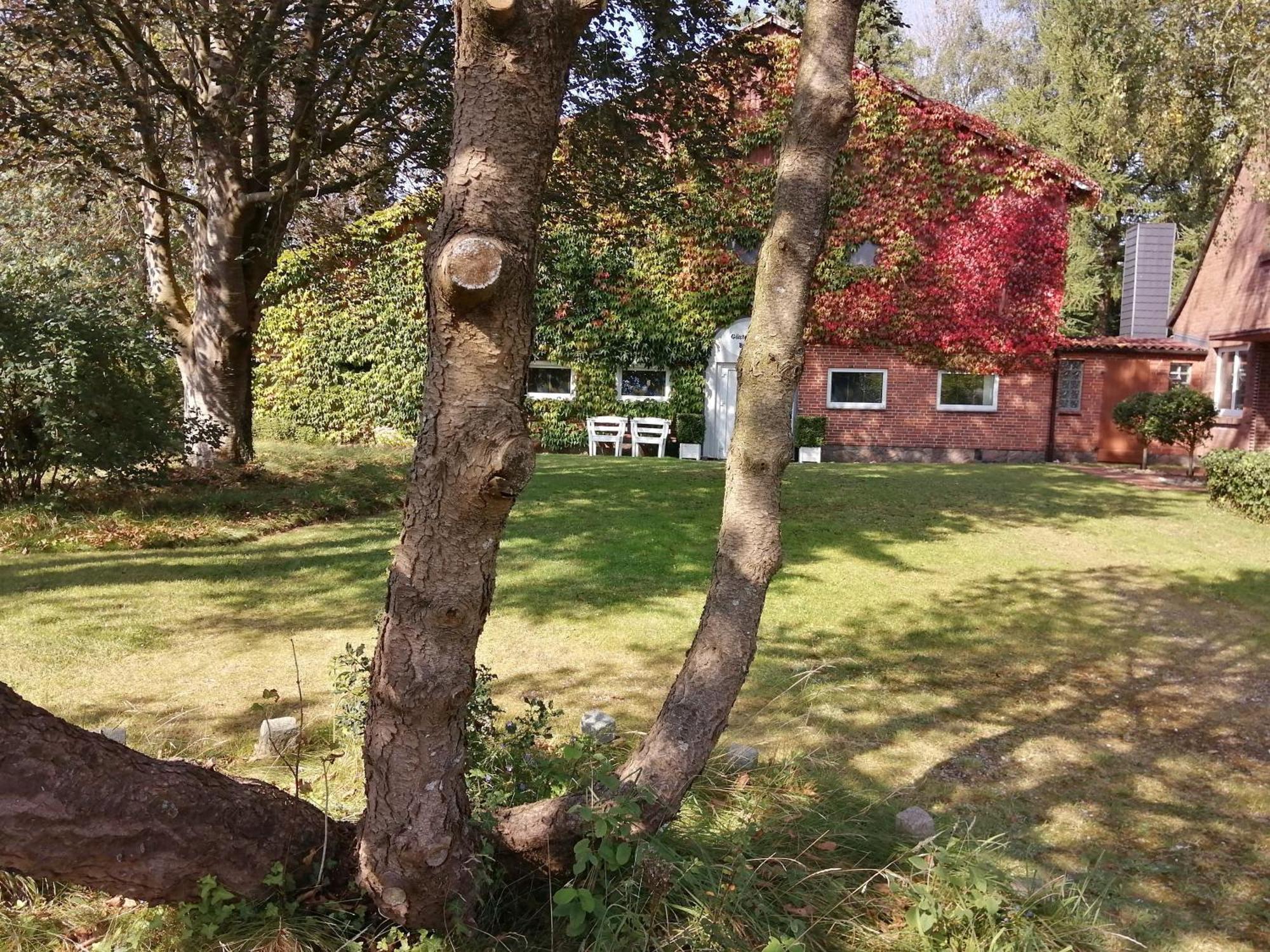 Ferienwohnung Benedict, Norbert Klein Rheide Exterior foto